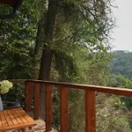 Cedrus Chalet Hradišťko